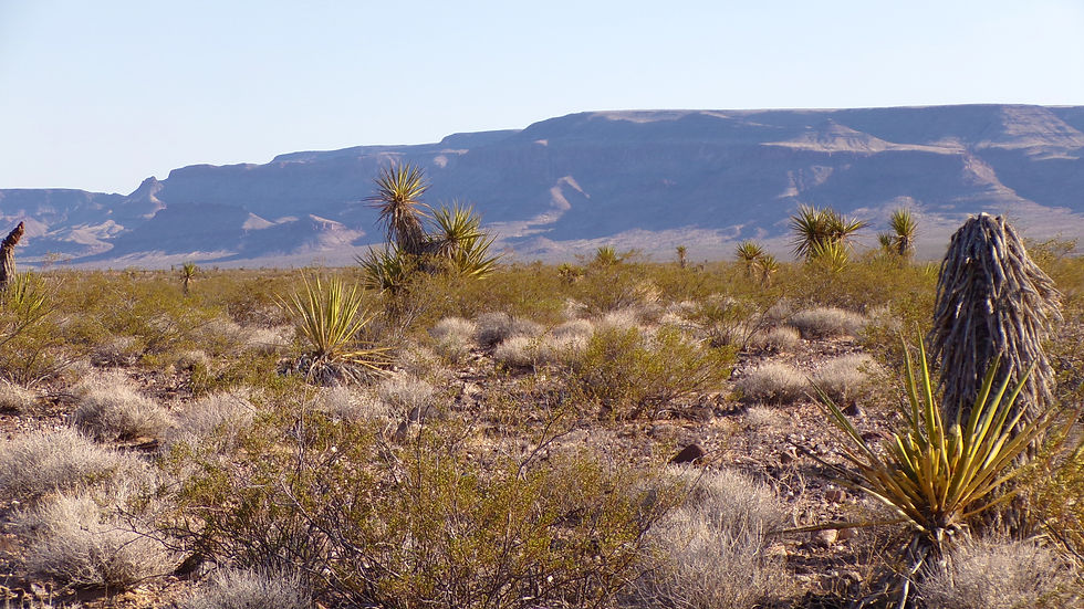 Thumbnail: 2.5-Acre $8,250 ($354 Initial Payment) Mohave County, Arizona Near Kingman)