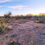 Thumbnail: 1.6-acres $10,600 ($359 Initial Payment) Pima County, AZ southwest of Tucson