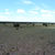 Thumbnail: 4.63-Acres $11,500 ($379 Initial Payment) - Apache County, Arizona near Holbrook