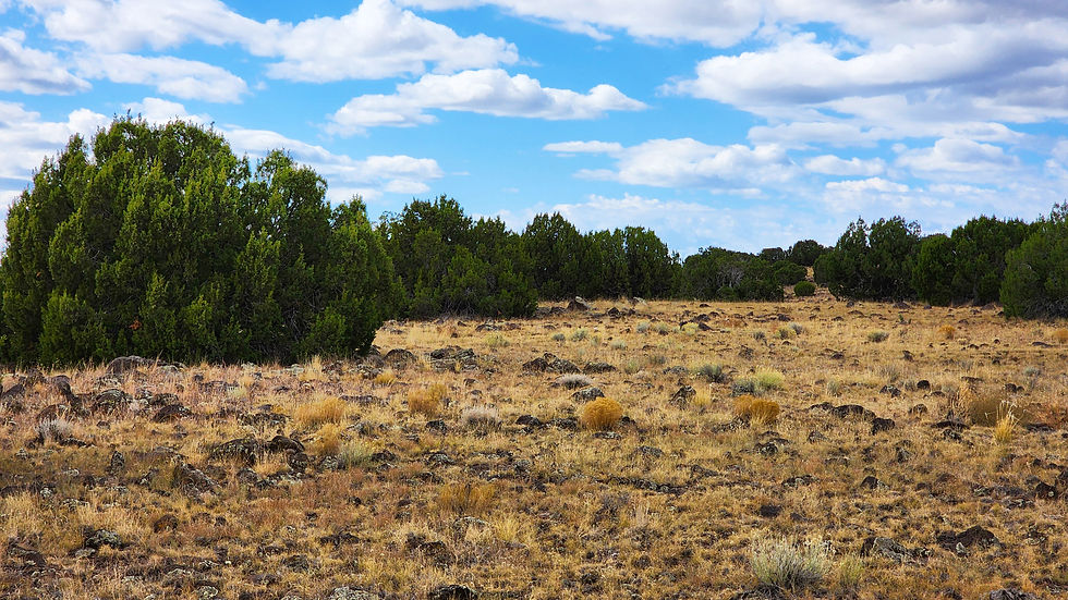 Thumbnail: 1.26-Acre $7,600 ($344 Initial Payment) Apache County, Arizona near Concho