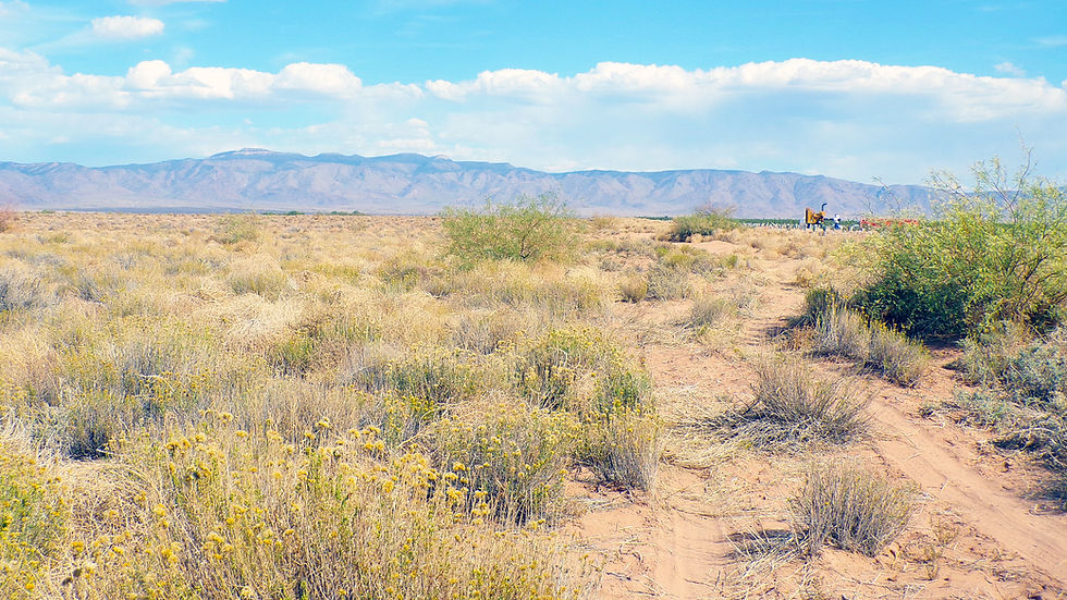 Thumbnail: 2.5-Acre $7,800 ($344 Initial Payment) Mohave County, Arizona Near Kingm