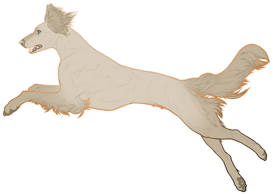 native25full.png