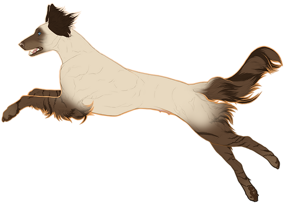 coco25notext.png