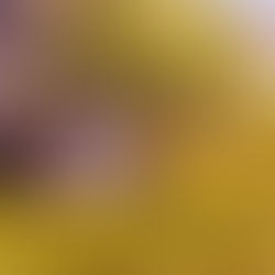 Important yard prep for fall