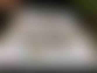 HIMS 자연 미술제!!