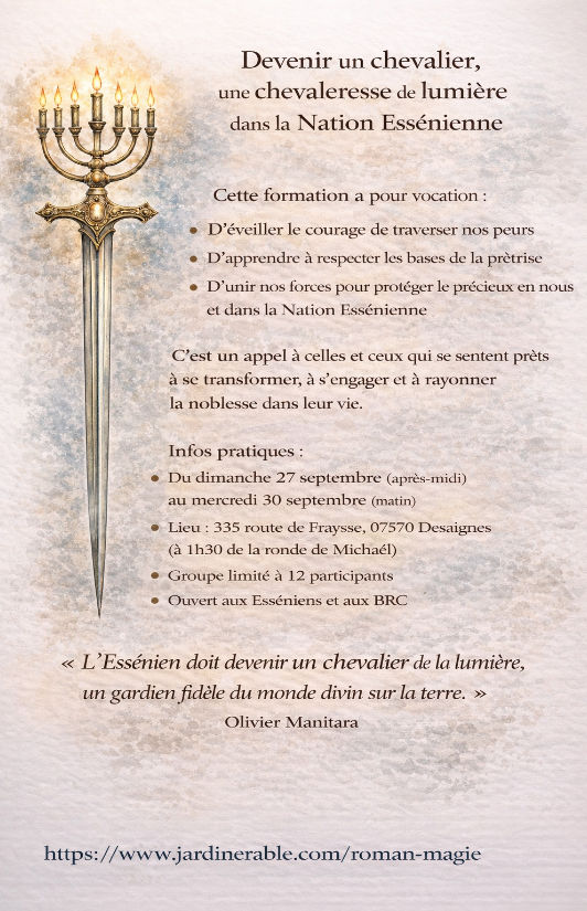 Formation des chevaliers de lumière_edited.jpg