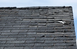 Roof_old_1.png