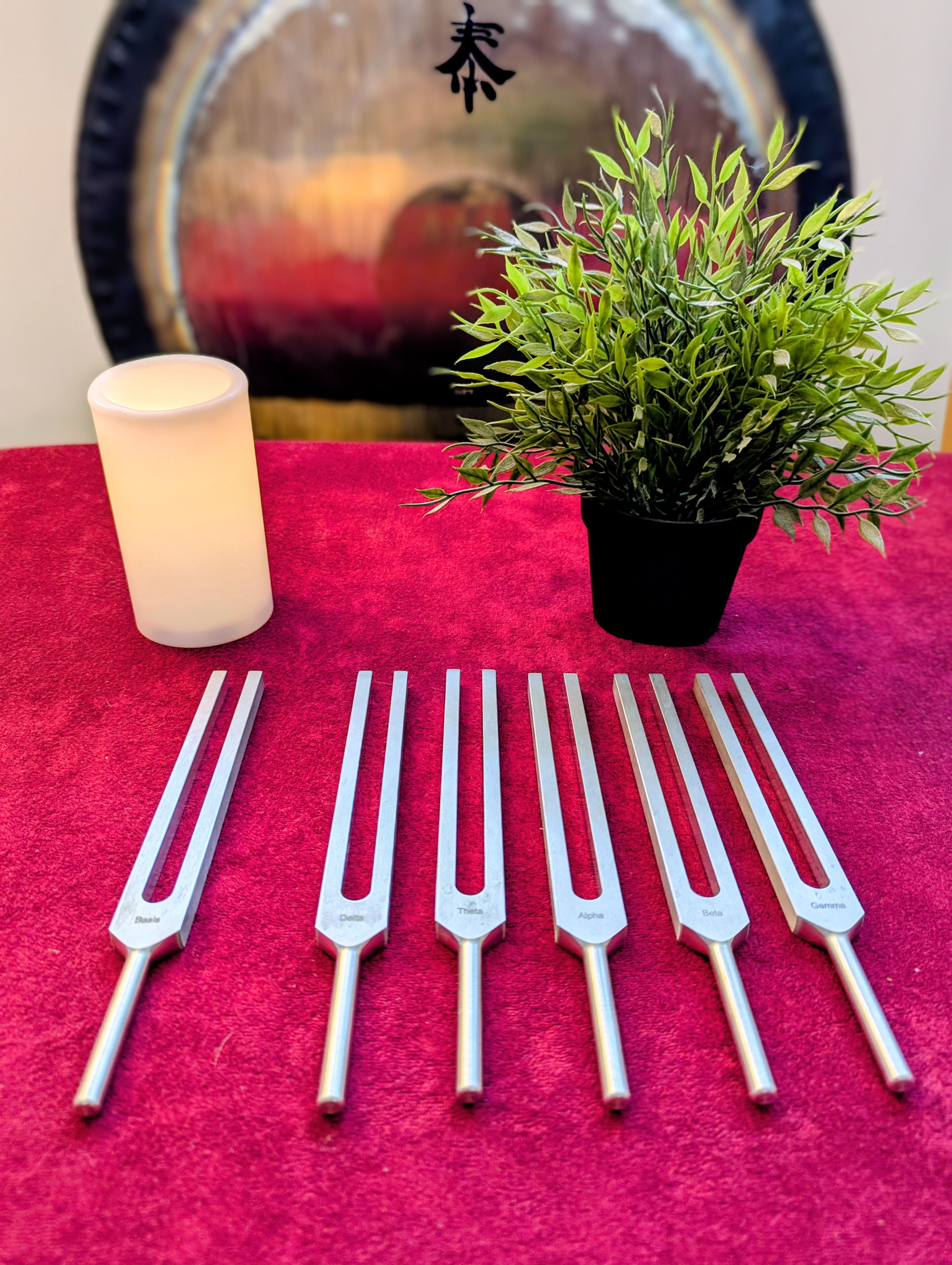 Brain Tuners Tuning Forks Set and Velvet Case