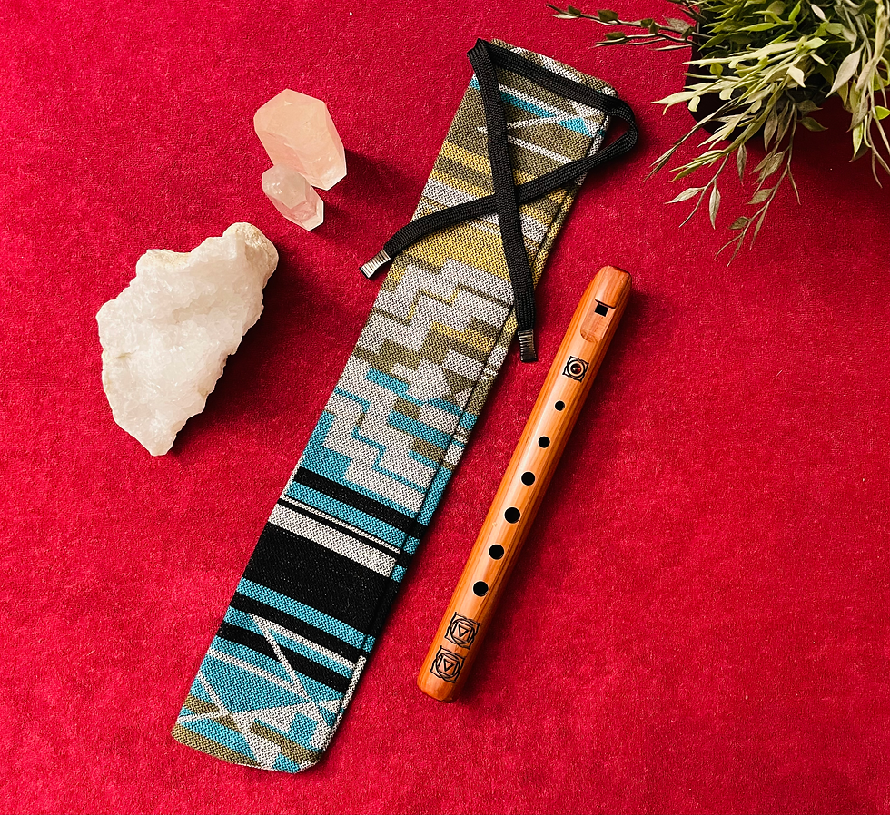 Oasis model case for small flute