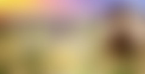 ELEA Live concerts + Sound Healing @ HARMONIC FESTIVAL 2017 | 21-23 July 2017 | France