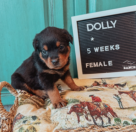 My project copyHH.png