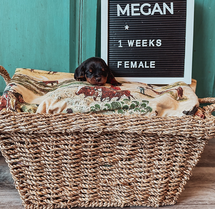 My project copyHH.png