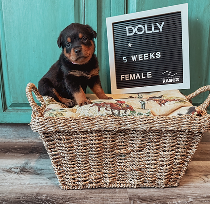 My project copyHH.png