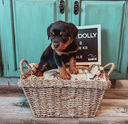 My project copyHH.png