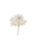 6659B3D1-BD1E-46A4-9400-ECF0BE8B4388.PNG