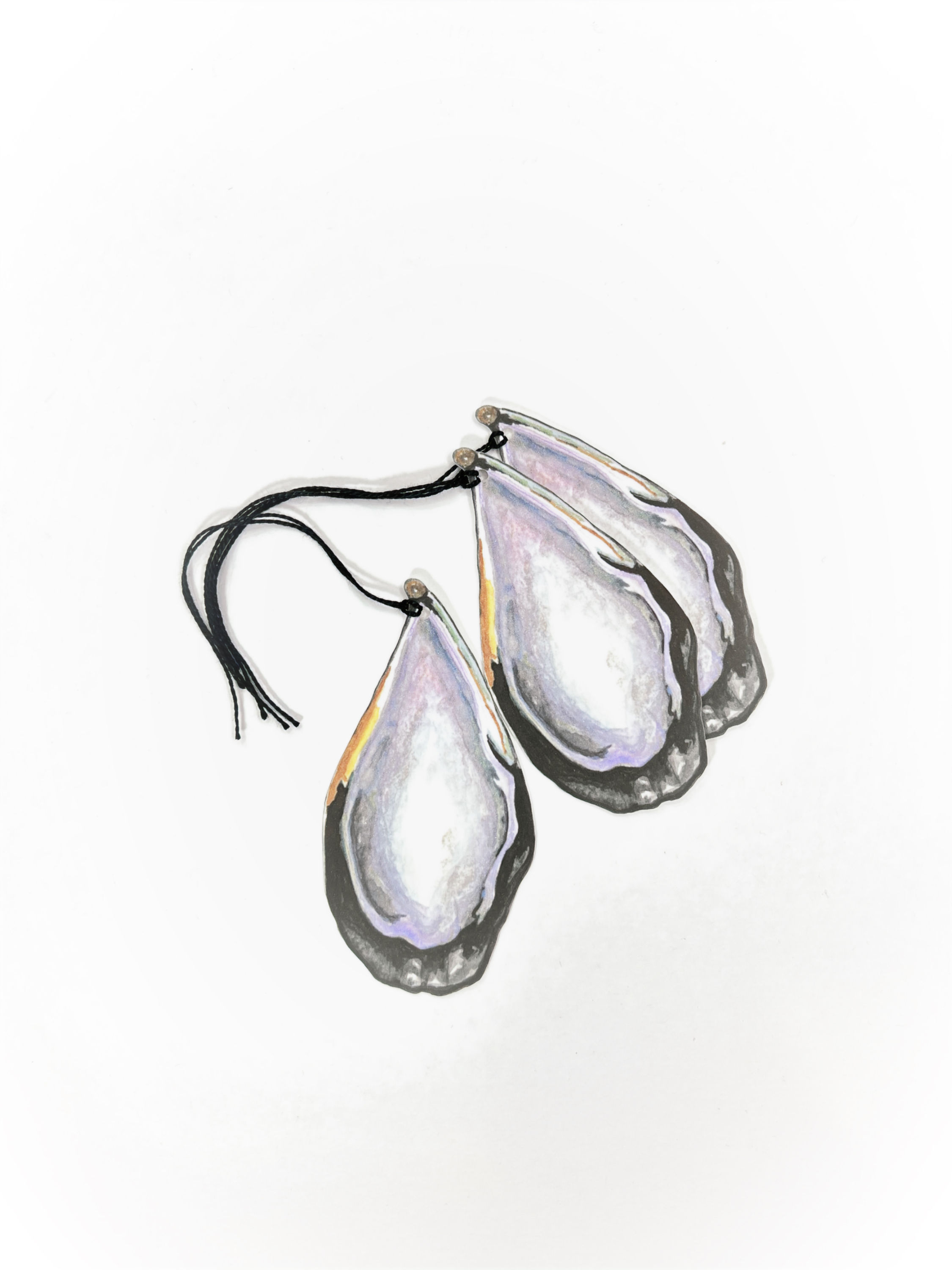 3 California Mussel Shell Gift Tags with Black String