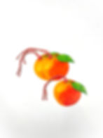 3 Orange Gift Tags with Orange and White Twine