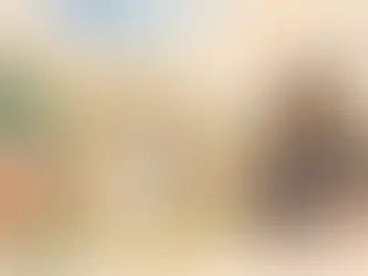 Fotograf freie Trauung OWL - worauf es ankommt