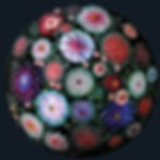 Jamie Barthel Chandelier Dark Floral