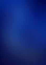 Exposition temporaire à la galerie du peintre - Levens