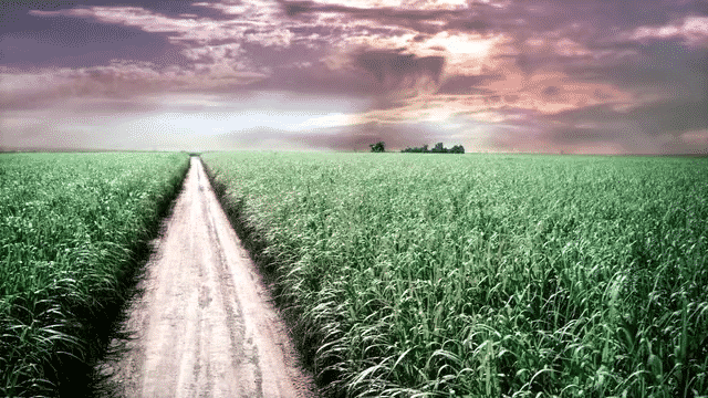 undefined-low(6).gif