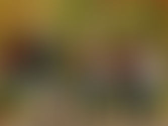 Unleash Your Best Self this Fall: 10 Exciting Ways to Boost Your Wellness Now!