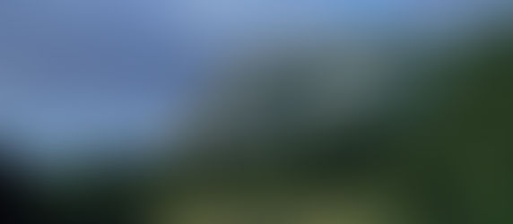 Following the paths in front of us