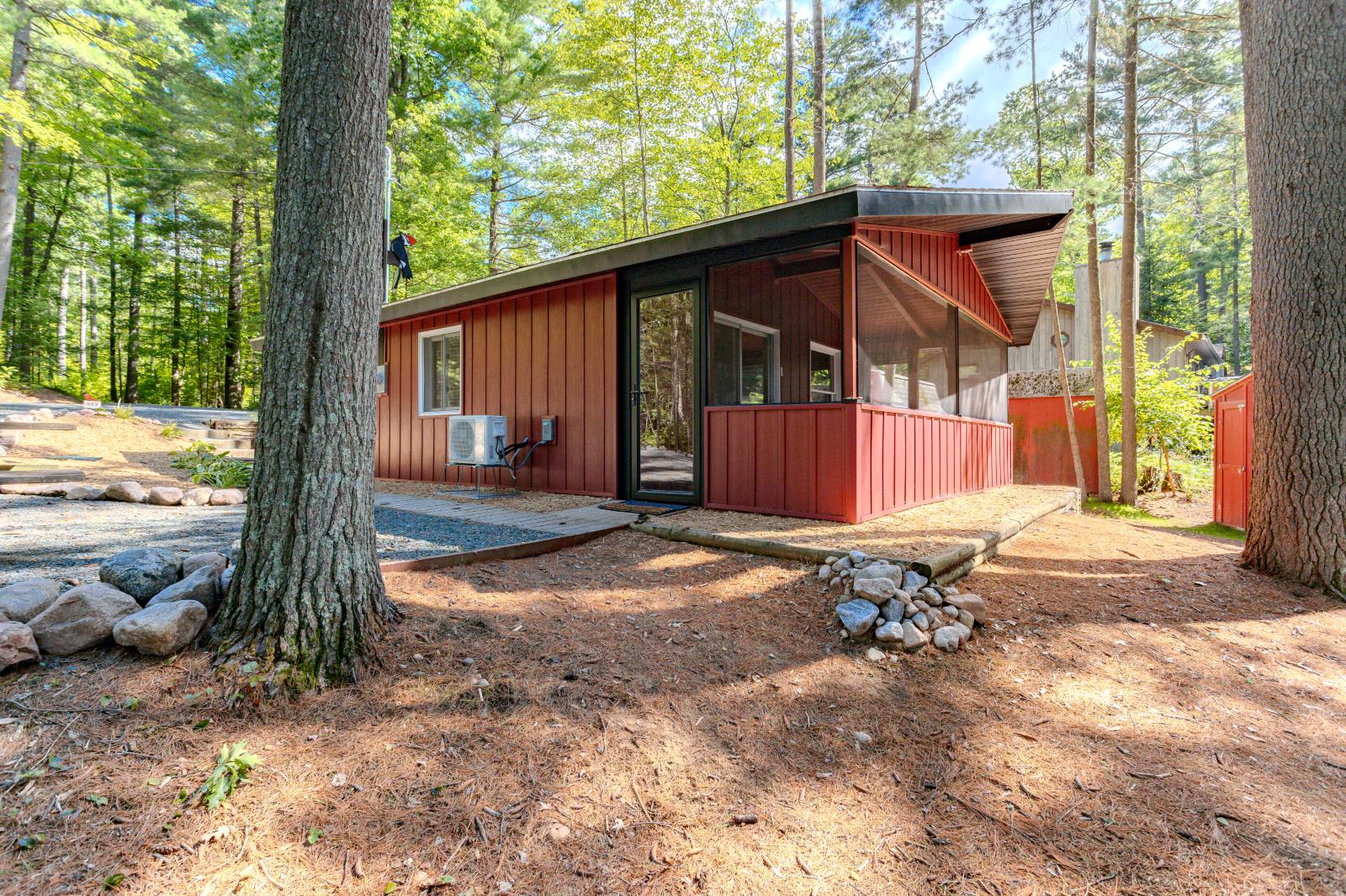 The red cabin among tall pines beside the lake