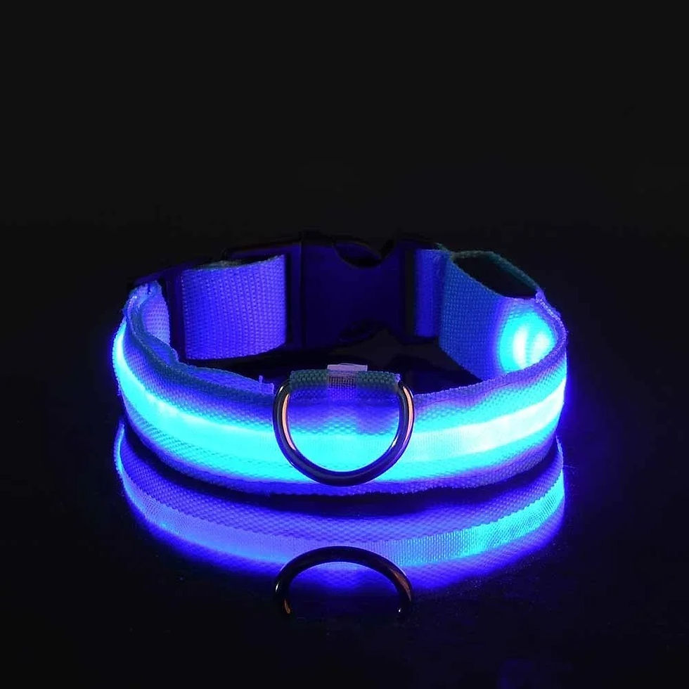 Thumbnail: Dog Collar Nylon LED Night Safety Flashing Glow In The Dark Pet Dog Leash pet Do