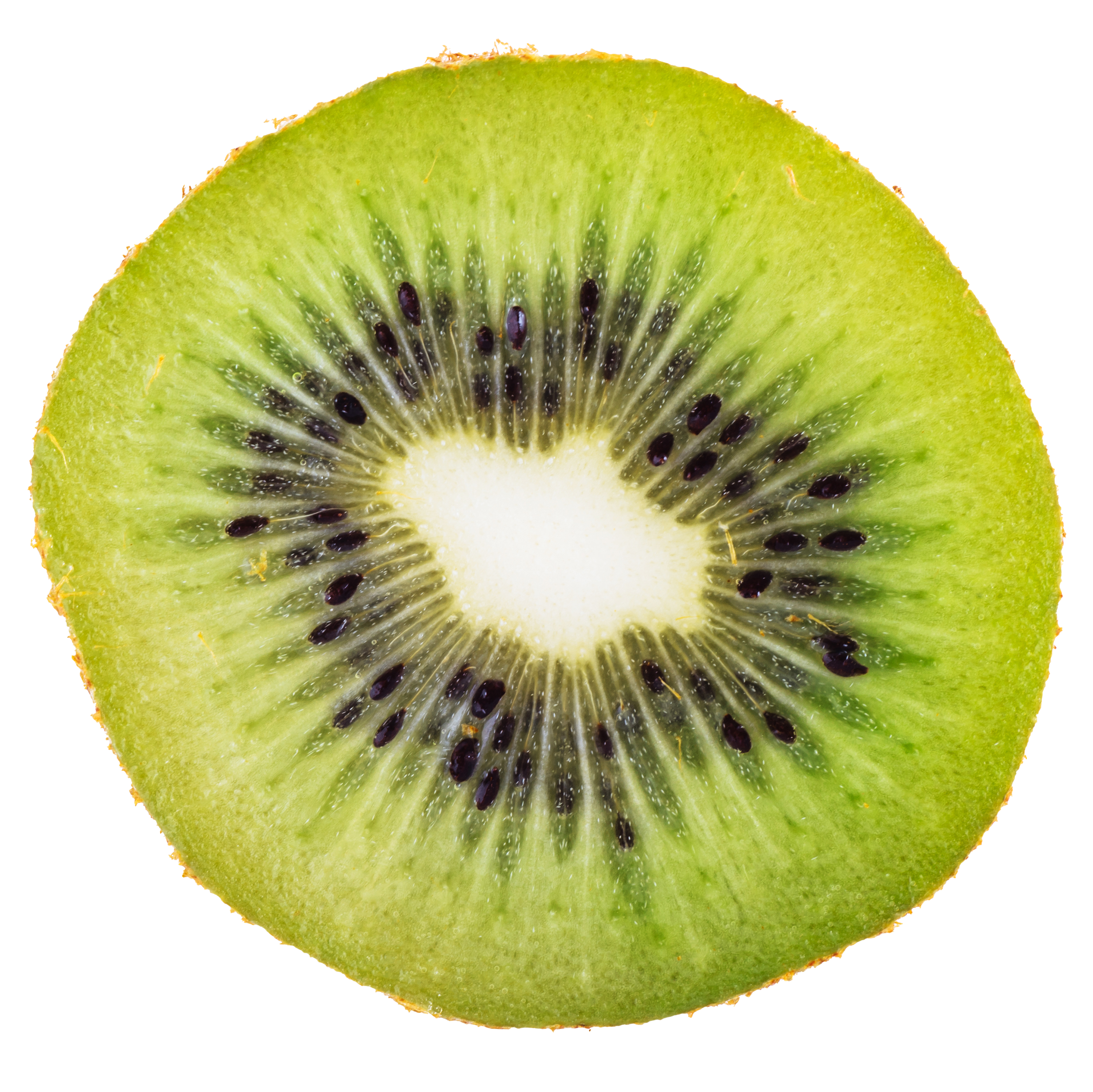 Kiwi png.png