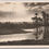Thumbnail: PC02 PC02081 – Posted Nile Landscape with Palm Trees Egypt 1928