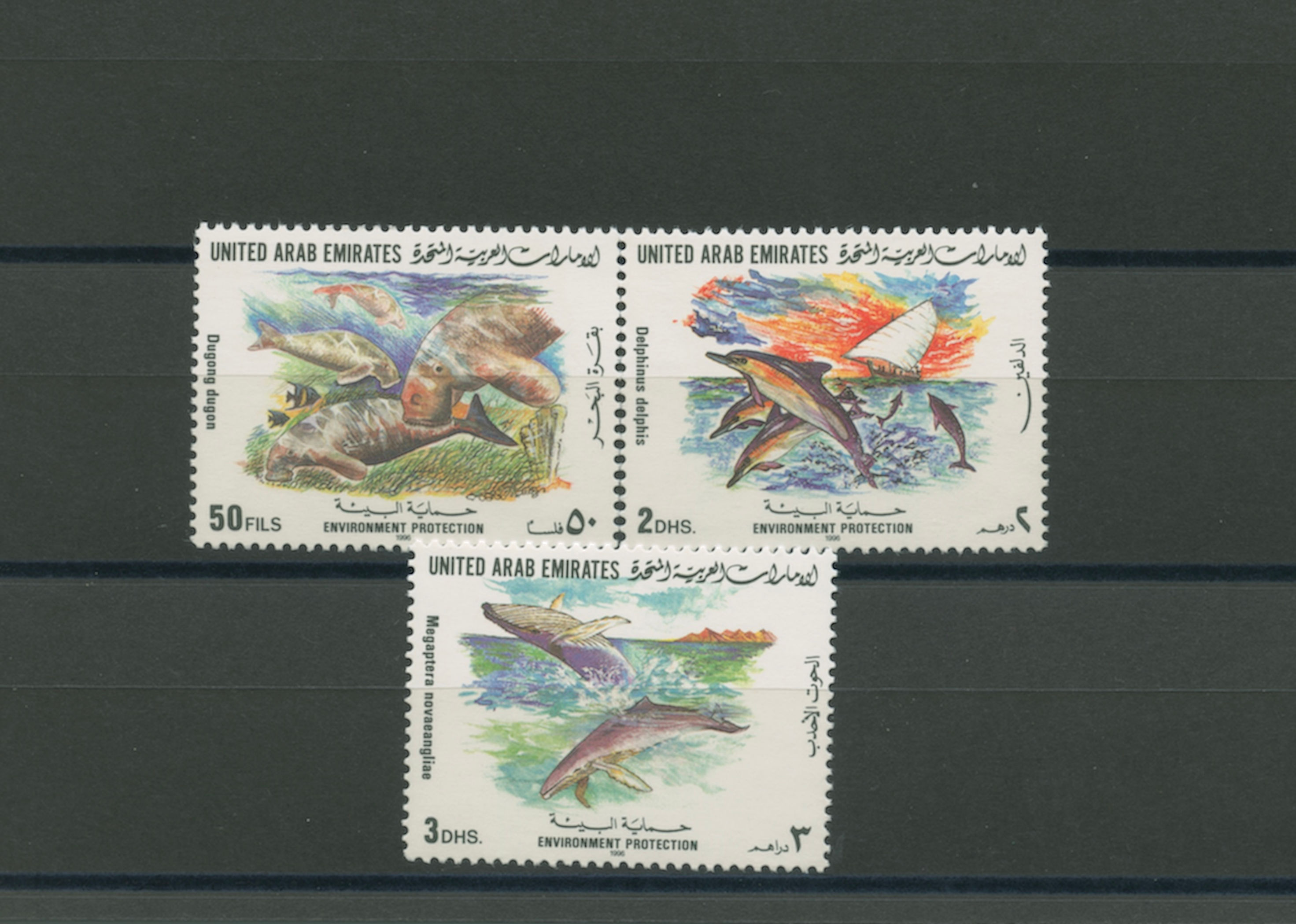 1996 UAE Environment Protection 