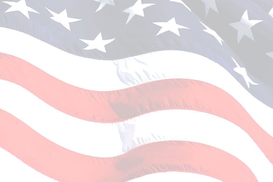american-flag-blowing light.jpg.jpg