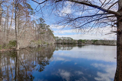 Beautiful Pond View Behind the Motel