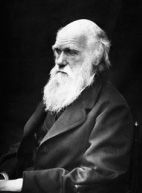 Beagle Sailing Lessons for Writing