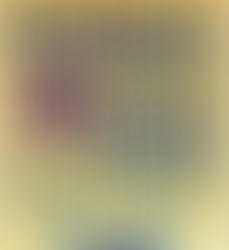 BIG IDEAS IN CRIME FICTION