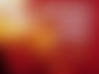 RISK OF INFIDELITY INDEX