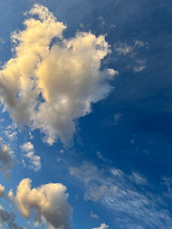 IMG_3890.jpeg