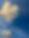 IMG_3890.jpeg