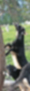 DSC04823.JPG