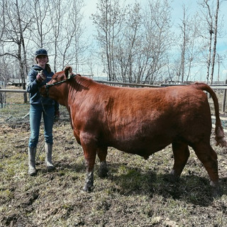 image4-2.jpeg