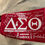 Thumbnail: Delta Sigma Theta Shoe Bag