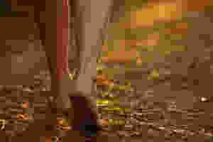 feet of Jesus