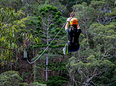 high ropes photo.jpg