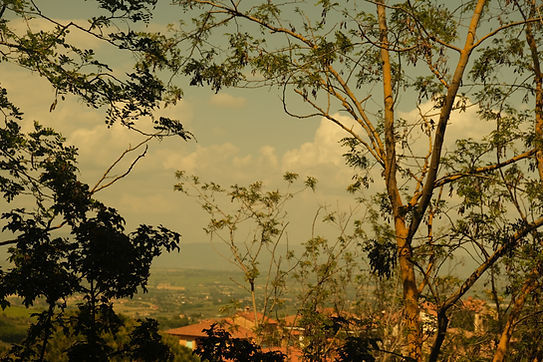 DSCF1381.JPG