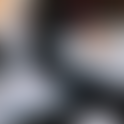 Investigating Financial Statements Fraud