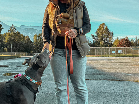 Unrealistic Expectations We Put On Our Dogs & What They Really Need From Us