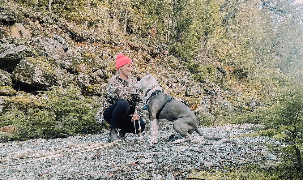 rewards based dog training