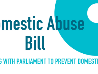 Domestic Abuse Bill & Parliament