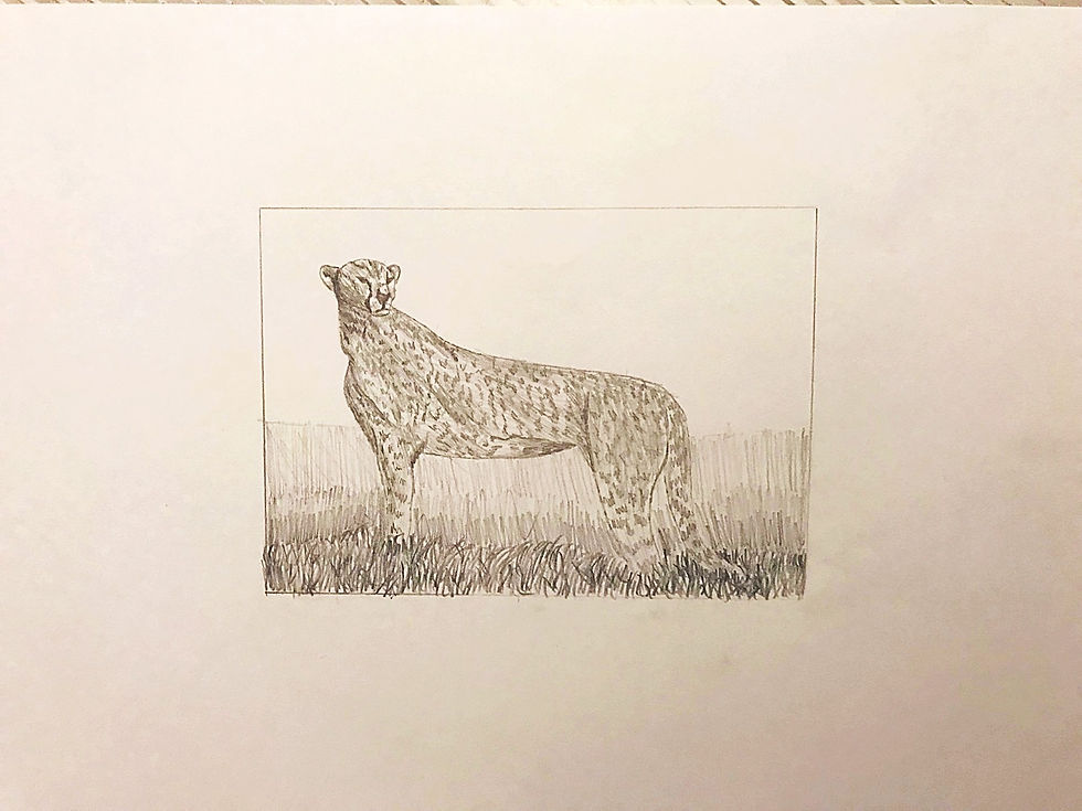 Dieren in verschillende technieken